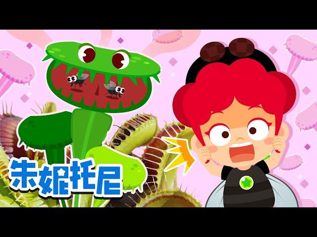 食虫植物 | 趣味探索 | 昆虫博士 | 吃昆虫的植物 | 朱妮托尼儿歌 | Kids Song in Chinese | 兒歌童謠 | 卡通動畫 | 朱妮托尼童話故事 | JunyTony