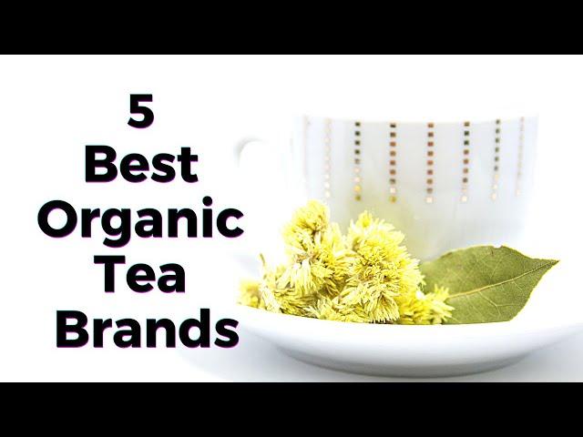 5 Best Organic Tea Brands - TWFL