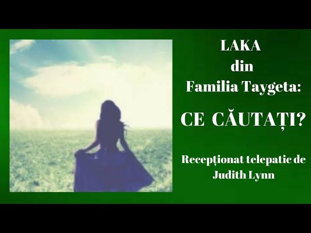 LAKA ~ Familia Taygeta : CE CĂUTAȚI? / Judith Lynn