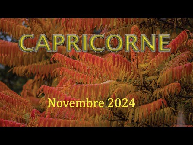 CAPRICORNE - Novembre 2024 ~ Etre dans l'observation