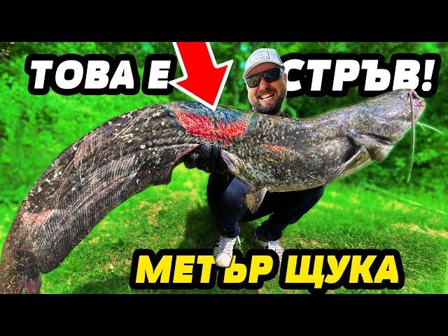 OГРОМЕН СОМ ЯДЕ РИБИ по 100 см!!! Риболов на щука и сом