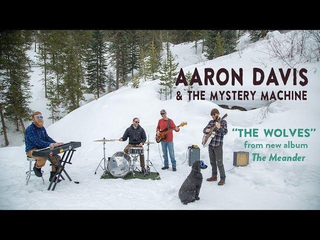 Aaron Davis - "The Wolves" (Official Music Video)