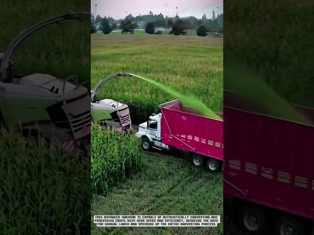 Modern Agriculture: Giant Machines Automated Harvest in Large Fields