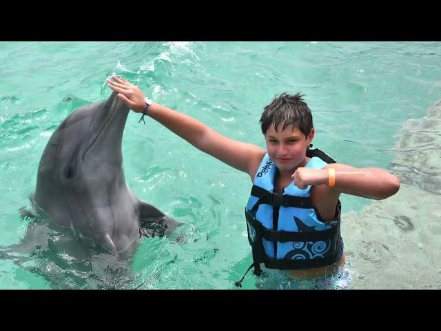 Swimming with dolphins in Punta Cana