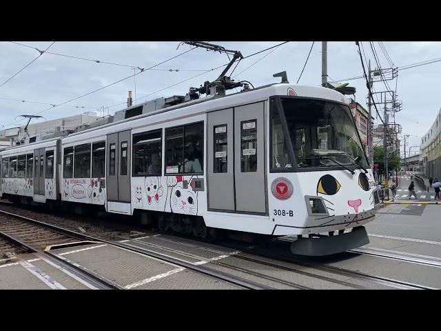 Cat Train in Tokyo