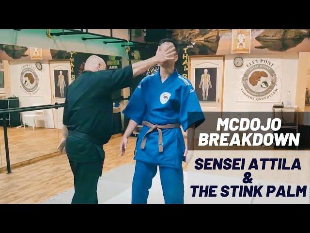 McDojo Breakdown: Sensei Attila and the Stink Palm