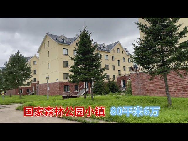 东北旅游小镇房子跌到白菜价，80平米新房只要6万块，太划算了