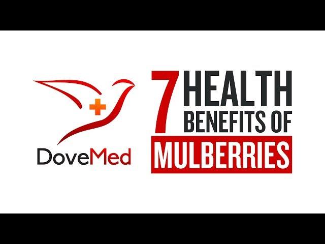 7 Health Benefits Of Mulberries