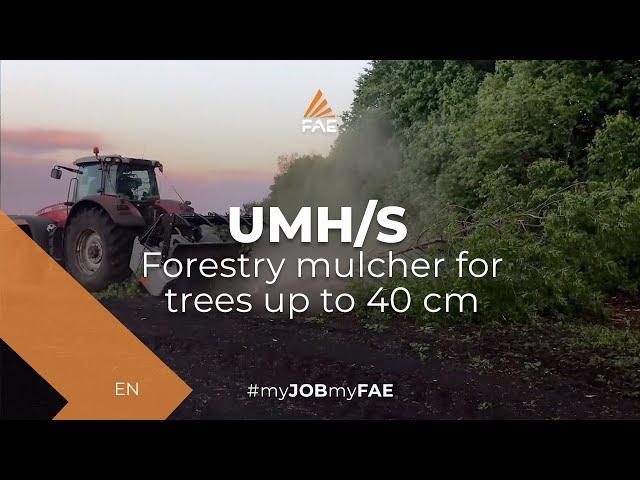 FAE UMH/S 225 - Forestry mulcher on 340 hp Masey Ferguson tractor