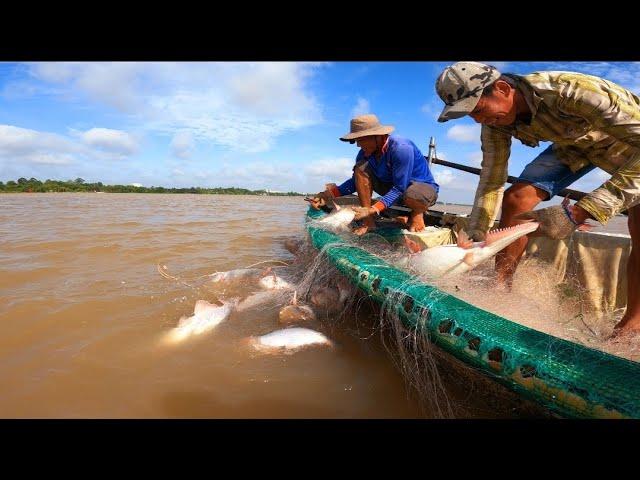 Phát Hiện Nơi Trú Ngụ Của Bầy Cá , Niềm Vui Của Ngư Dân Ngày Trúng Mẻ Lưới To | #66TV #fishing