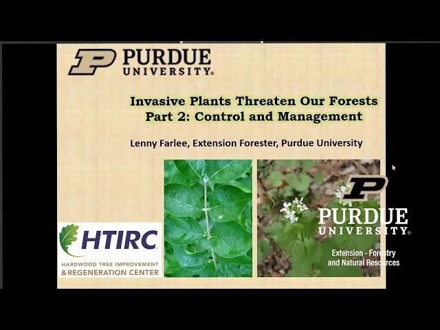 Invasive Plants Threaten Our Forests Part 2: Control and Management