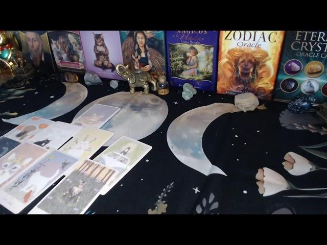 Tarot en Vivo