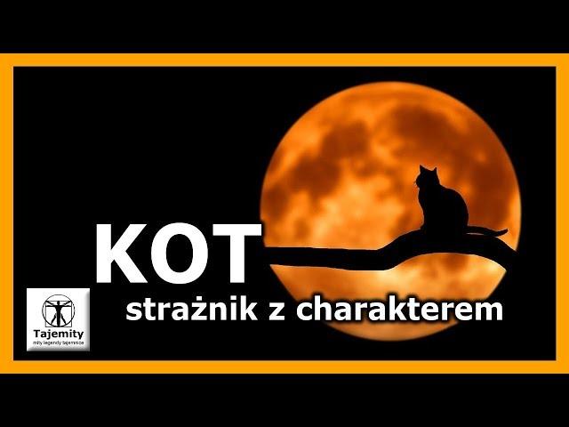 Kot - strażnik z charakterem