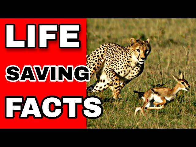 Life Saving Facts|Part-1|Fact2Fact| #Shorts