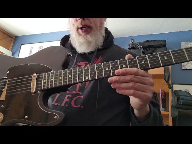 What's the deal with Richlite Fretboards???