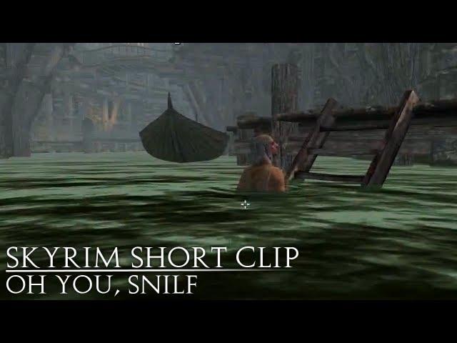 Skyrim: oh you snilf.