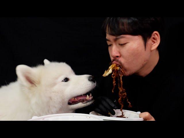 Dog food mukbang