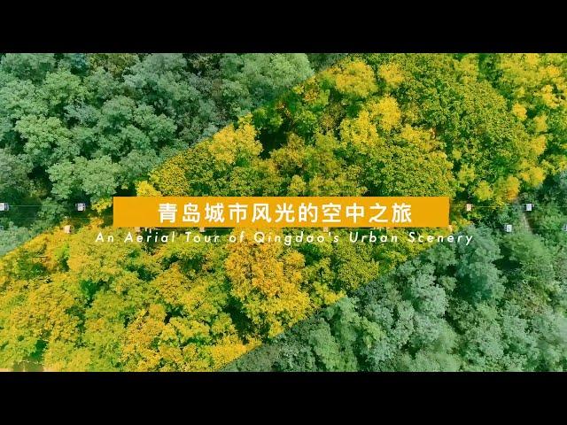 An Aerial Tour of Qingdao's Urban Scenery 青岛城市风光的空中之旅