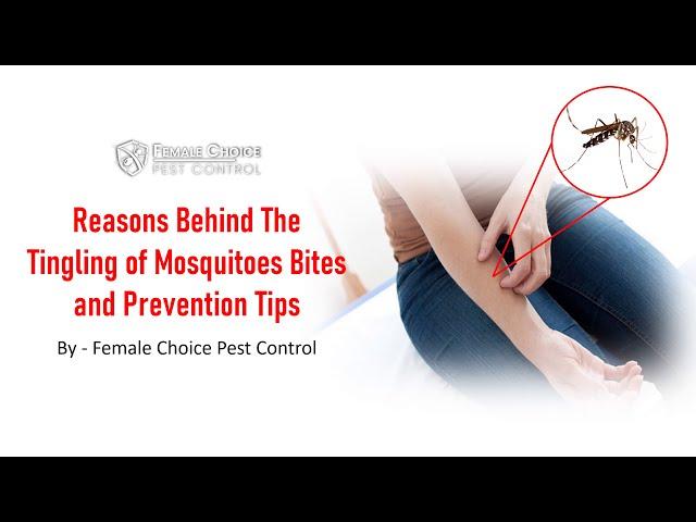 Reasons Behind The Tingling of Mosquitoes Bites and Prevention Tips | Mosquito Prevention