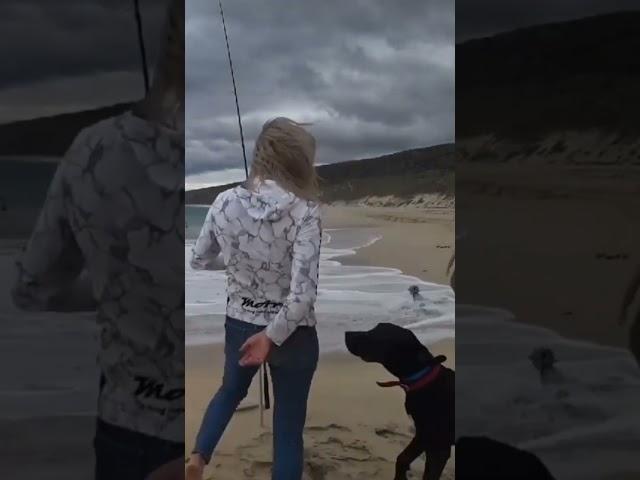 dog startles a beachgoar. #youtube #funny #youtubeshorts #dailydose #top10videos #viral #viralvideo