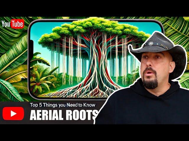 Aerial Roots: Top 5 Facts You NEED to Know