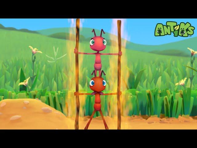 Fire Ants  | ANTIKS | Funny Cartoons For All The Family!