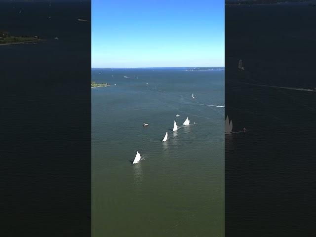 Sailor's Symphony  Harmonizing with Miles River's Waves   15 #Sailing #ChesapeakeBay #MilesRiver