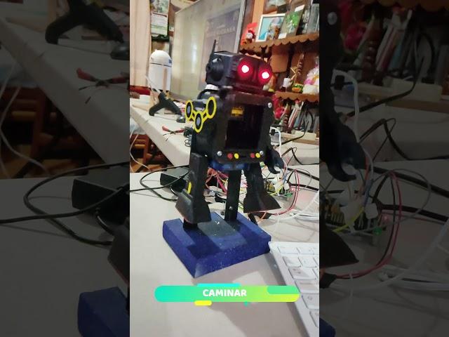 ROBOT HORIKAWA(RUTINA 1 CAMINAR)