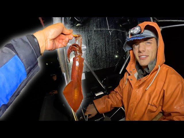 24 Hours as a Commercial Squid Fisherman (Selling Direct to Consumer)