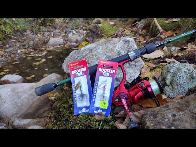 Which Color Rooster Tail works Best  (brown trout, rainbow trout)