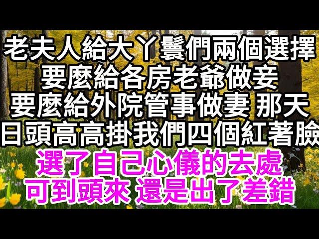 老夫人給大丫鬟們兩個選擇，要麼給各房老爺做妾，要麼給外院管事做妻，那天日頭高高掛，我們四個紅著臉，選了自己心儀的去處，可到頭來，還是出了差錯 【美好人生】