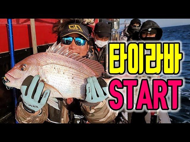 타이라바로 이것까지 잡히다니...