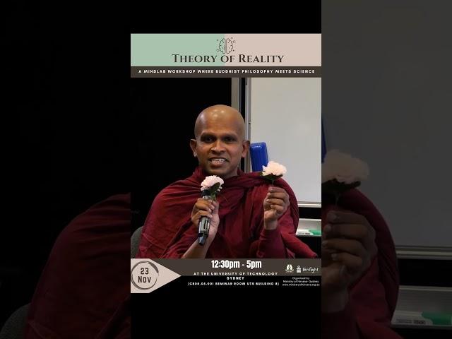 The Theory of Reality - The universal law of everything | A MindLab Workshop