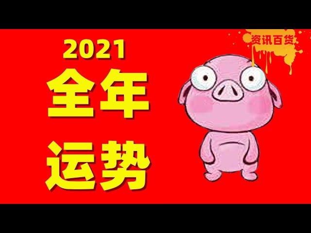 【生肖运势】属猪人士2021年全年运势