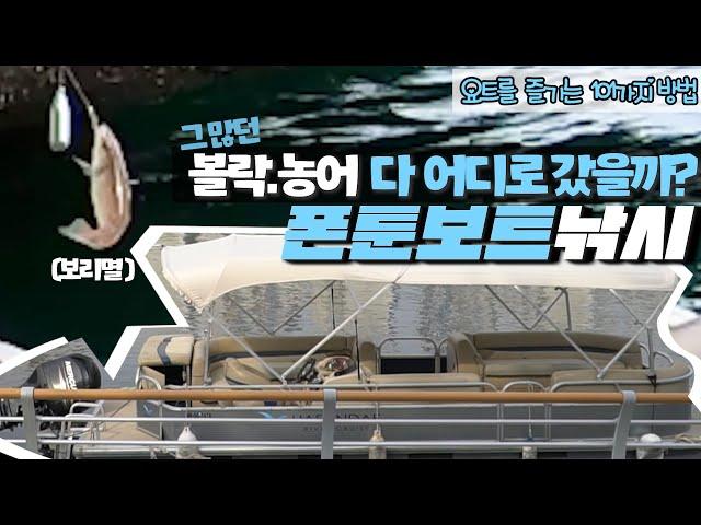 [낚시TV] 폰툰보트 타고 볼락, 농어, 고등어, 전갱이 찾기 +_+ | 요트라이프 |