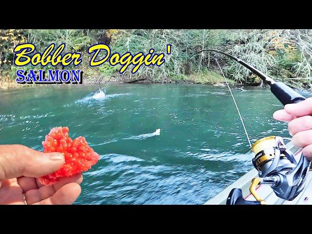 Bobber Doggin' The Cowlitz River For Monster Fish