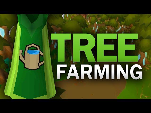 Complete Tree Farming Guide for OSRS