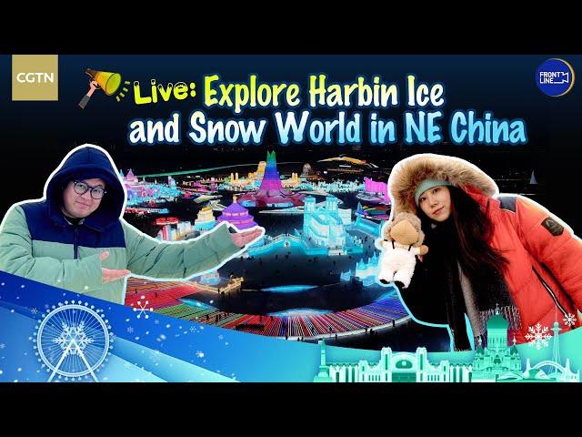 Live: Explore Harbin Ice and Snow World in NE China