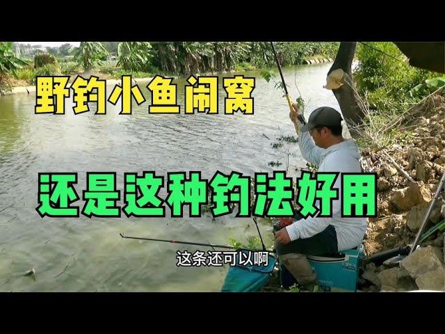 野钓小杂鱼闹窝怎么办？试试这种钓法，一步到位做到避小鱼钓大鱼