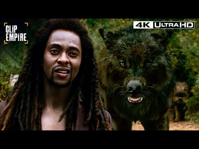 Laurent vs The Wolves | The Twilight Saga: New Moon 4K