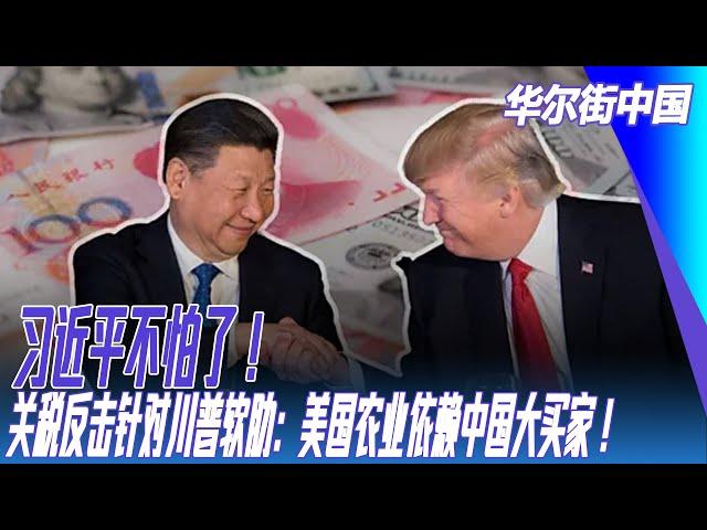 习近平不怕了！关税反击针对川普软肋：美国农业依赖中国大买家！李强两会不谈美国： 中国能为全球提供稳定性｜华尔街中国