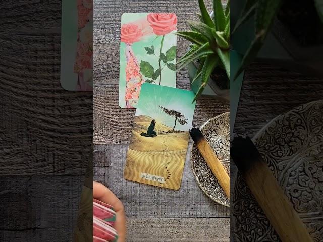 Are You Ready For LOVE?️‍ Then Keep Watching | Daily Tarot #messagefromspirit