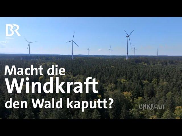 Windkraft im Wald für die Energiewende: Was bedeutet es für die Natur? | UNKRAUT | BR