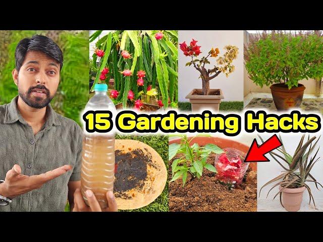 DIY 15 Gardening Hacks you must know | Bougainvillea Grafting, tulsi plant and more (Part-3)