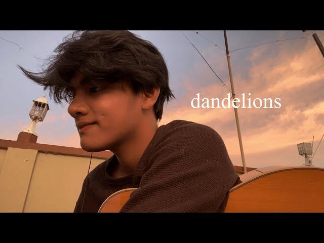 dandelions cover