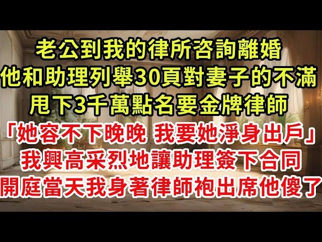 老公到我的律所咨詢離婚，他和助理列舉30頁對妻子的不滿，甩下3千萬點名要金牌律師「她容不下晚晚 我要她淨身出戶」我興高采烈地讓助理簽下合同，開庭當天我身著律師袍出席他傻了#復仇 #逆襲 #爽文