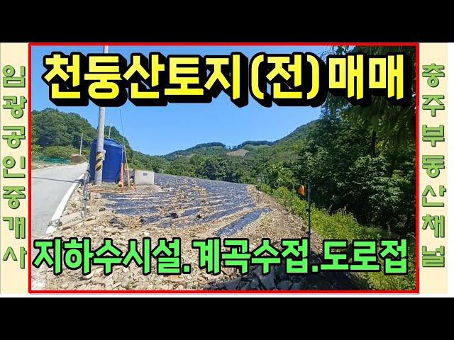 #충주부동산채널 829번 충주시 산척면 석천리 전 천둥산자락토지