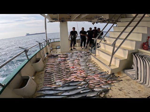 Catch Many Fish At South China Sea with Jiang Explorer. 2 Rod Broken with Monster Fish..