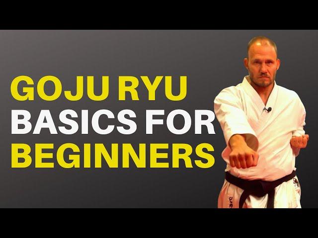 Goju Ryu Basics for Beginners: Blocks, Punches and Stances
