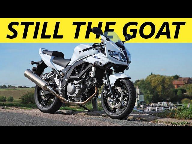 The BEST Beginner Motorcycles in 2024